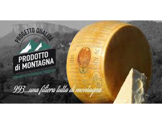 Parm. Reggiano 993 24 Mesi di Montagna