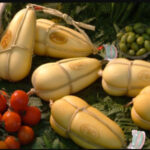 PROVOLA CALABRA