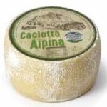 CACIOTTA ALPINA