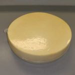  LATTERIA GIOVANE S.V.