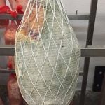 CULATTA STAGIONATA ORLANDINI