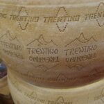 TRENTINGRANA FORME 24 MESI
